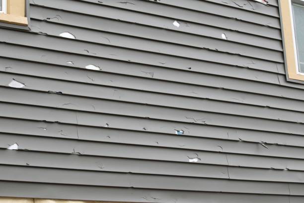 How To Choose The Right Materials for Your Siding Installation in 'Ketchikan, AK